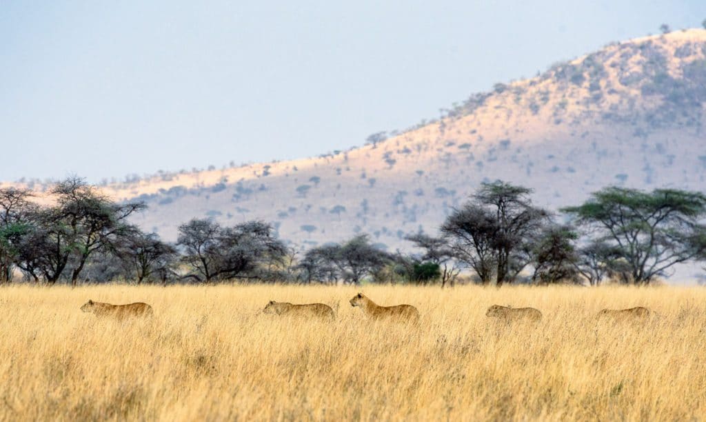 Paysages de Tanzanie en automne