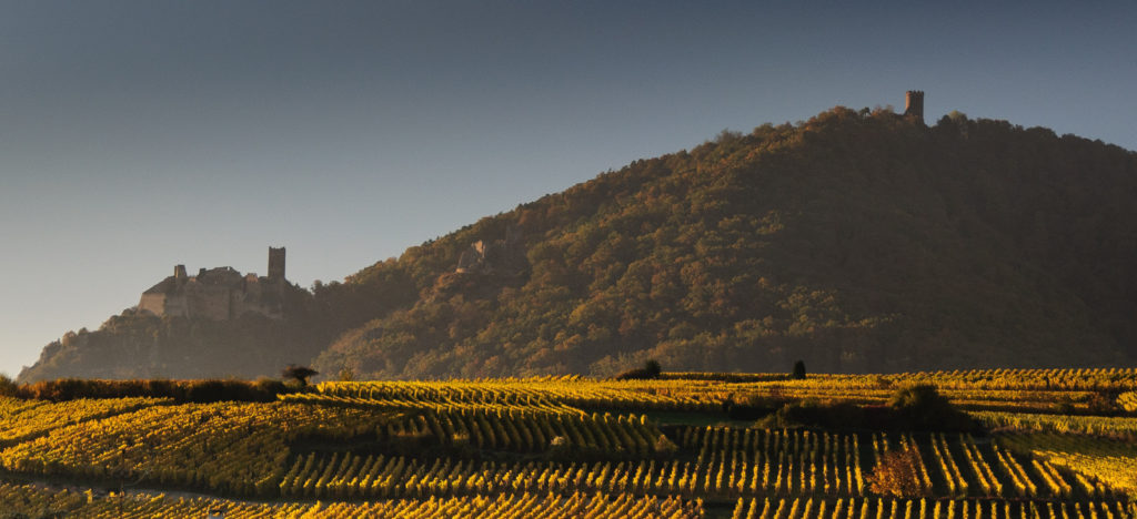 Trois chateaux de Ribeauville en Grand Est