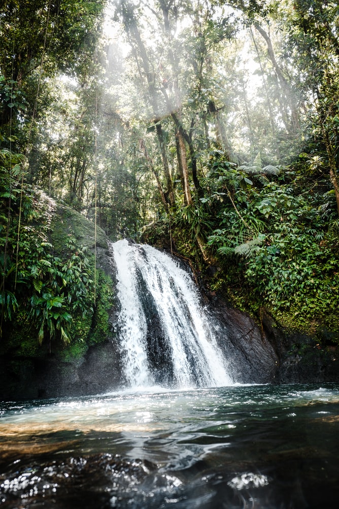 Flusskrebs-Wasserfall